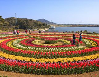 Srinagar Tour